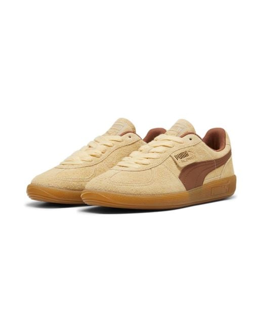 PUMA Brown Palermo 'Chamomile Mushroom' for men