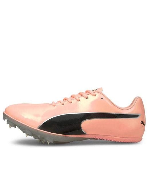 PUMA Pink Evospeed Sprint 'Elektro Peach' for men