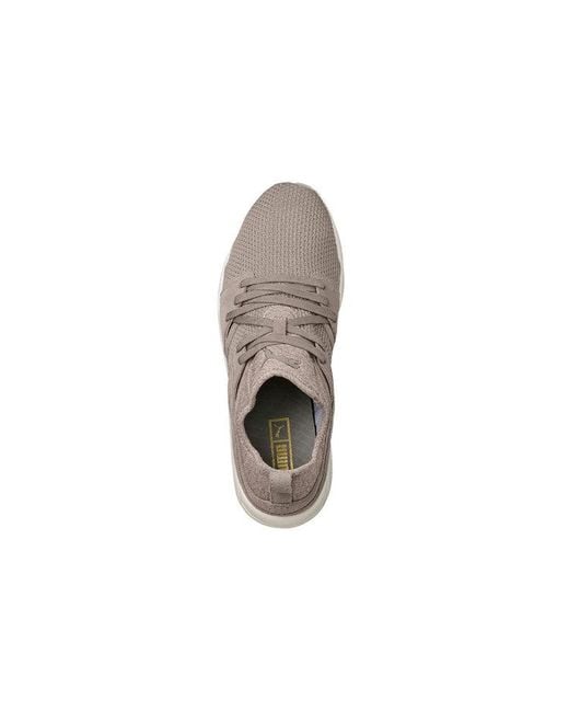 PUMA Brown Blaze Ct for men