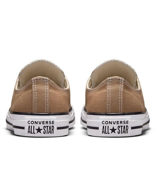 Converse Brown All Star Low Top Casual Canvas Shoe for men