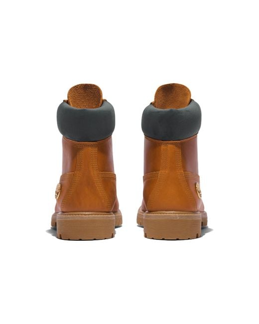 Timberland Brown Premium 6 Inch Waterproof Boot for men