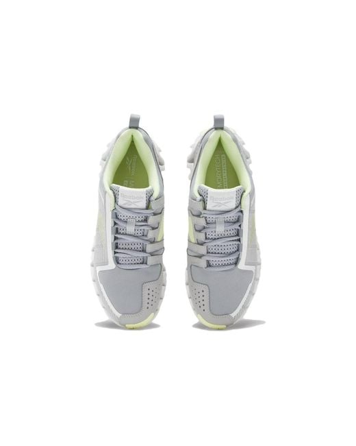 Reebok Gray (Wmns) Zigwild Trail 6 'Pure'