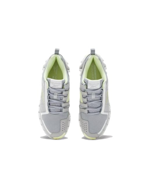 Reebok Gray (Wmns) Zigwild Trail 6 'Pure'