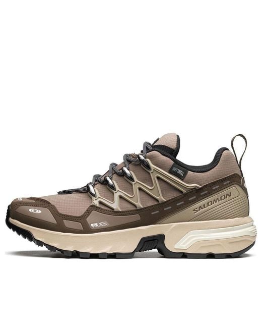 Salomon Brown Acs + Cswp 'Falcon' for men