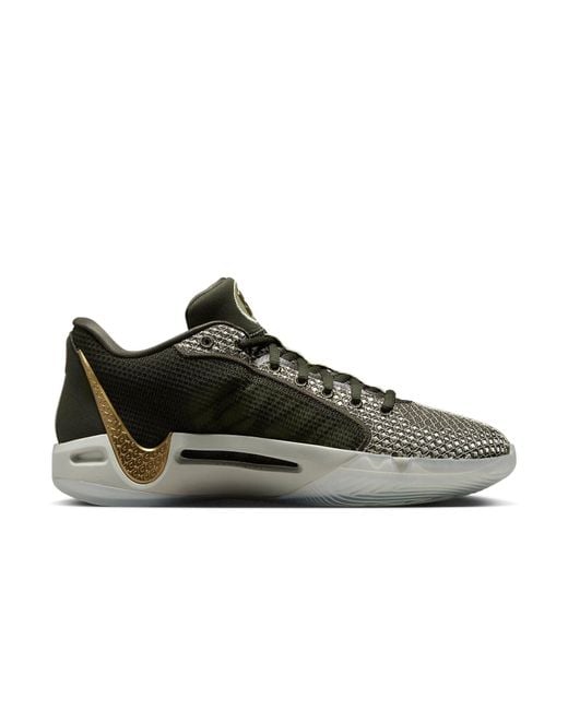 Nike Brown (Wmns) Sabrina 1 'Dedication'