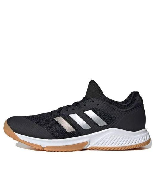 Adidas Blue Court Team Bounce for men