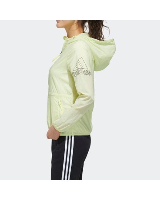 Adidas Green (Wmns) Windbreaker Bos Jacket Windtight Coat