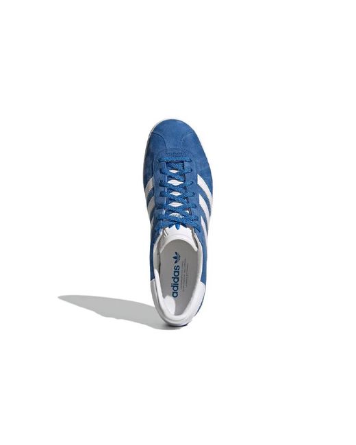 Adidas Blue Gazelle 85 Bird' for men