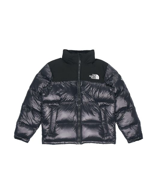d*b様 THE NORTH FACE NOVELTY DOWN JACKET THE NORTH FACE 【公式通販】