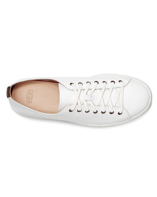 Ugg White Pismo Sneaker Low for men