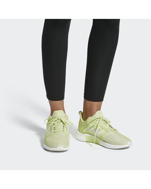 Adidas White (Wmns) Climacool Vent W