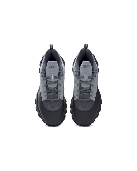 Reebok Blue Dmx Trail Shadow