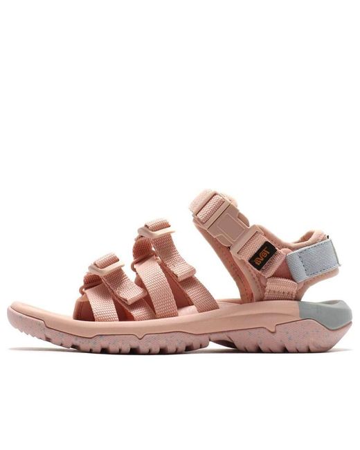 Teva Pink (Wmns) X Herschel Hurricane Xlt 2 Alp