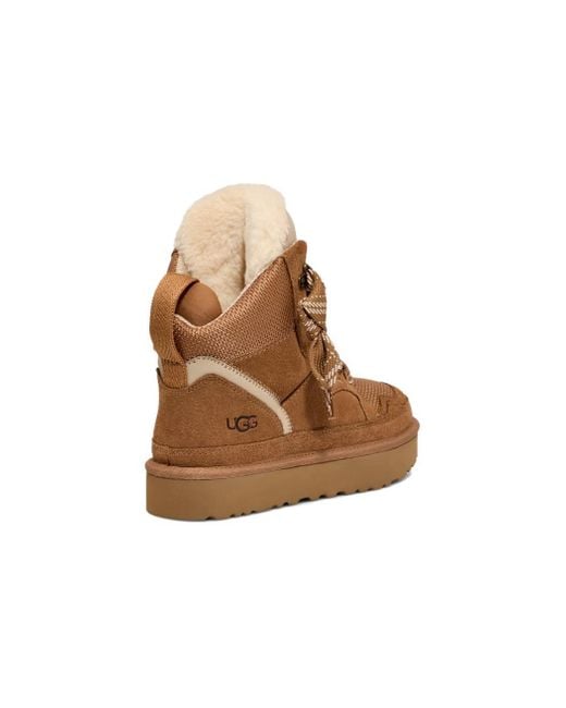 Ugg Brown Highmel Lace-up Suede Sneakers