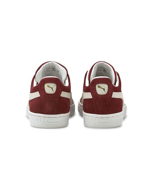 PUMA Brown Suede Classic 21 'Cabernet' for men