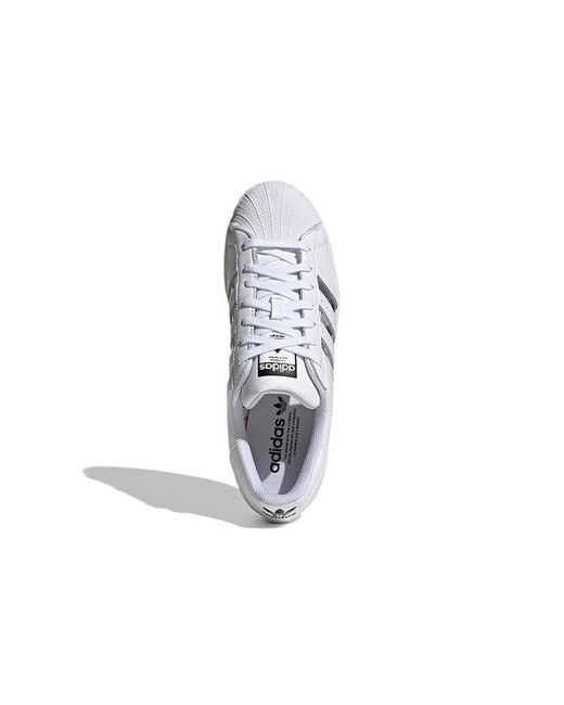 Adidas White Superstar Transparent' for men
