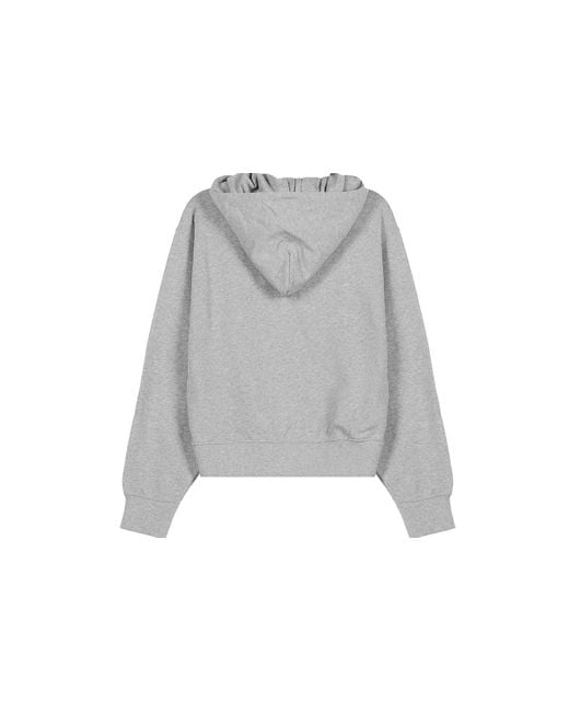 KENZO Gray (Wmns) Fw20 Small Tiger Head Loose Hooded Long Sleeves Hoodie Pearl