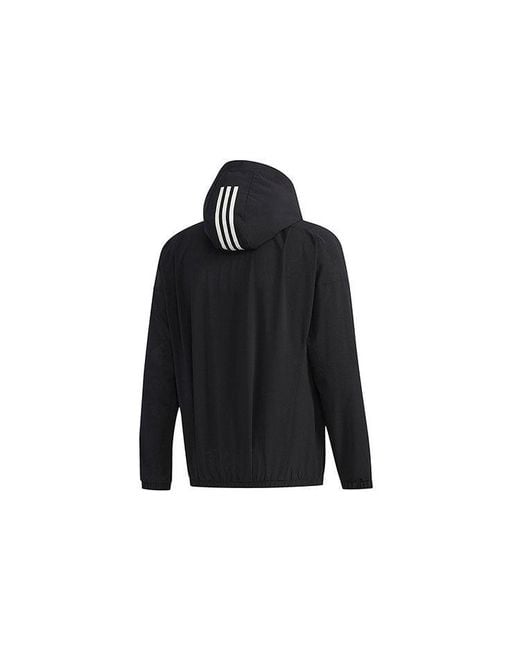 Adidas Blue Casual Sports Hooded Jacket for men