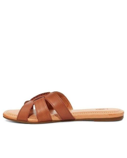 Ugg Brown (Wmns) Teague Slippers