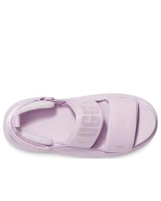 Ugg Purple (Wmns) La Cloud Fog'
