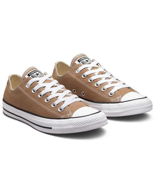 Converse Brown All Star Low Top Casual Canvas Shoe for men