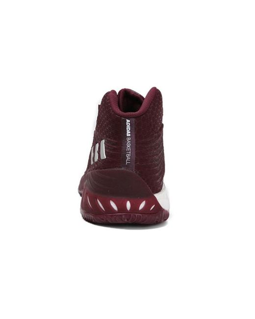 Adidas Brown Crazy Explosive 2017 for men