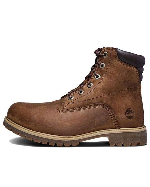 Timberland Brown 6-Inch Alburn Boots for men