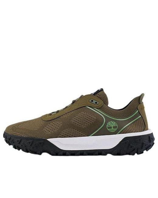 Timberland Brown Greenstride Motion 6 Sneakers for men