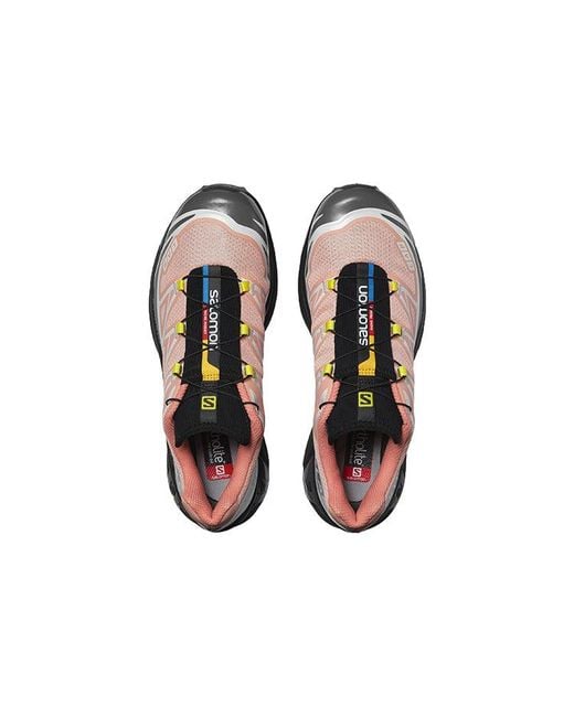 Salomon Brown Xt-6 Series for men