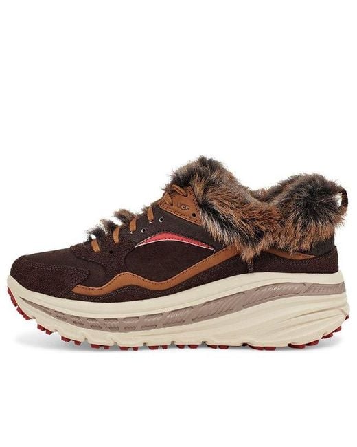 Ugg Brown Ca805 X Bears Bear' for men