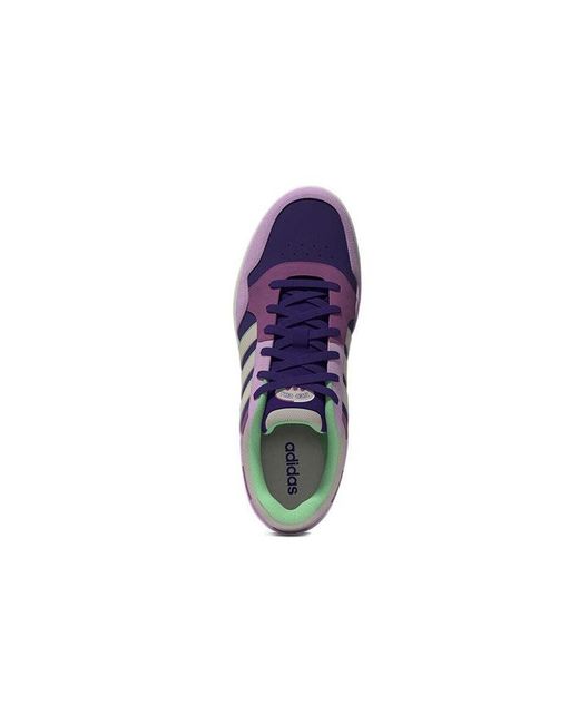 Adidas Purple (Wmns) Hoops 3.0 Dark'