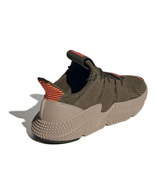 Adidas Brown Prophere for men