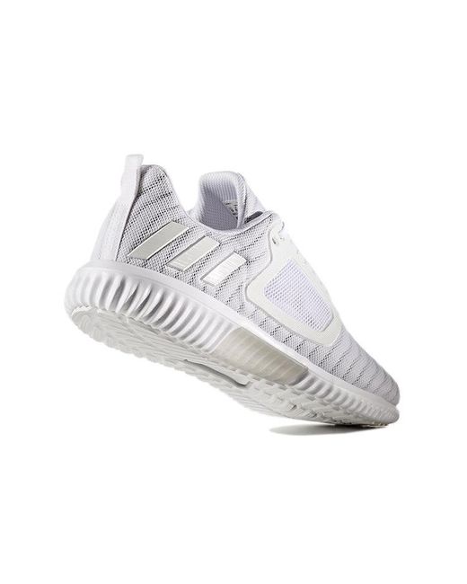 Adidas White Climacool Metallic' for men