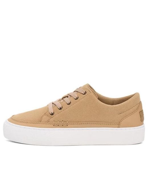 Ugg Natural Cakewalk 'Mustard Seed' for men