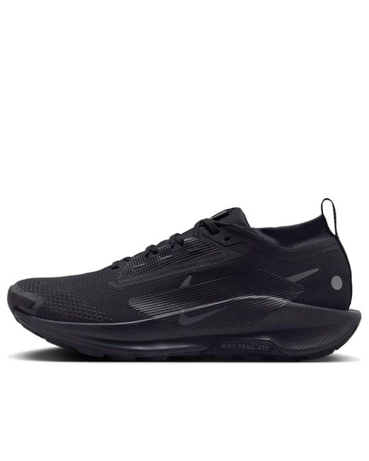 Nike Blue Pegasus Trail 5 Gore-Tex Running Shoes for men