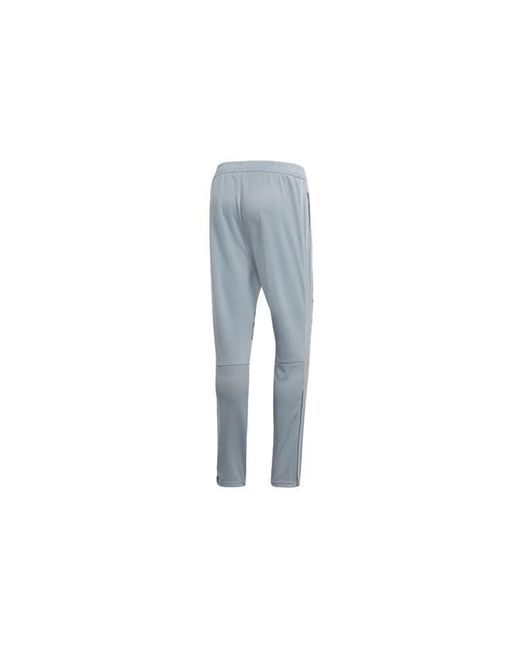 Adidas Blue Tiro Pre Db Pnt Pred David Beckham Soccer/Football Casual Sports Pants/Trousers/Joggers Light for men