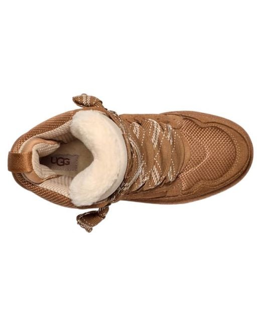 Ugg Brown Highmel Lace-up Suede Sneakers