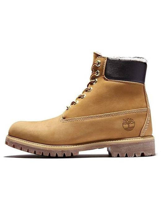 Timberland Brown 6 Inch Premium Waterproof Warm Lined Boot for men