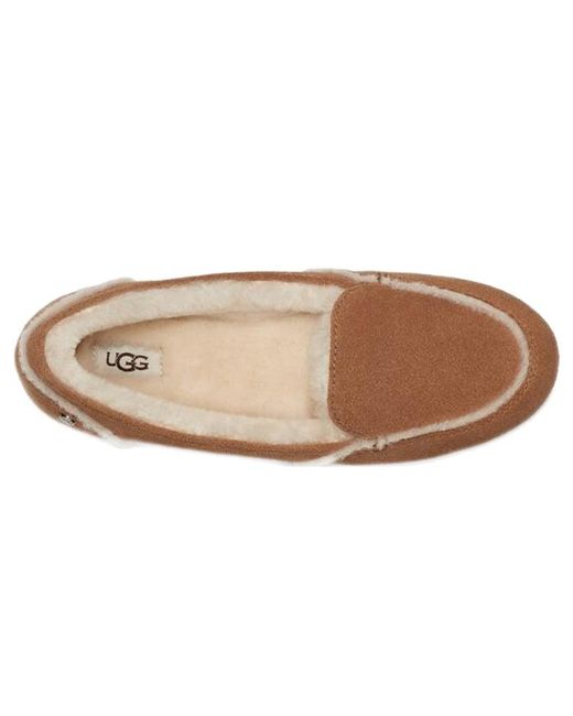 Ugg Brown (Wmns) Hailey Loafer 'Chestnut'