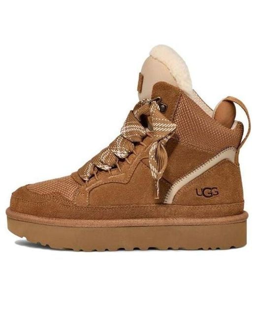 Ugg Brown Highmel Lace-up Suede Sneakers