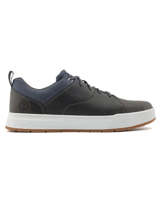 Timberland Blue Maple Grove Trainers for men