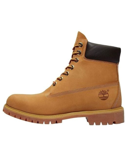 Timberland Brown Premium 6-Inch Waterproof Boots 'Wheat' for men