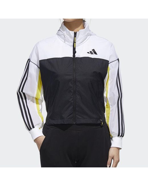 Adidas Blue (Wmns) Cva Wb Sports Jacket