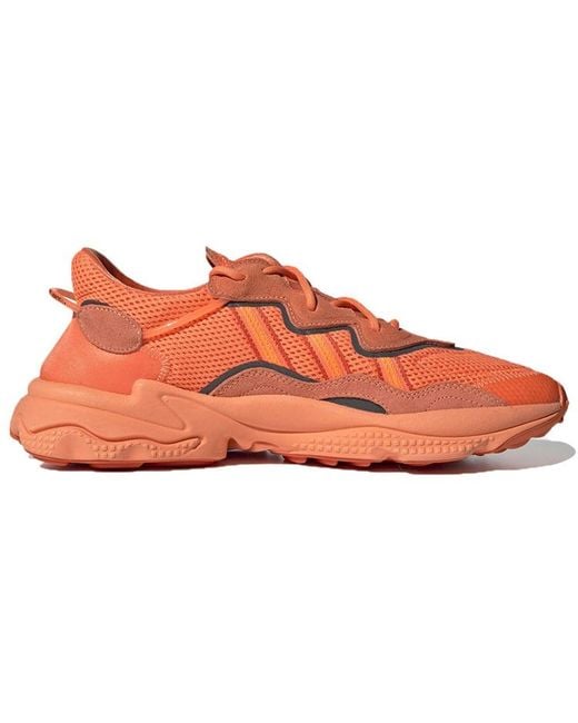Adidas Orange Ozweego 'Bold' for men