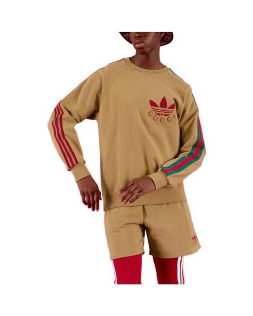 Gucci Natural X Adidas Cotton Sersey Sweatshirt 'Camel' for men