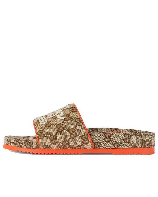 Gucci Slide X The North Face in Brown Lyst