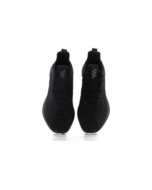 Adidas Black Alphabounce Plus 'Core' for men