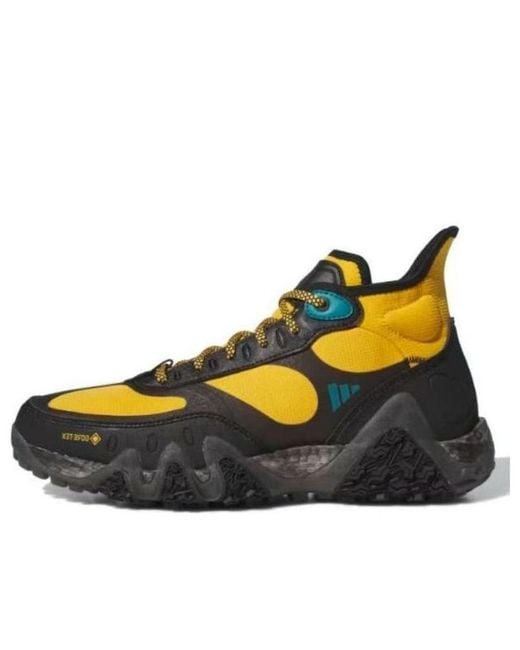 Adidas Blue Adicross Gore-Tex for men