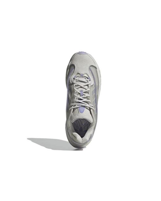 Adidas Gray Oznova 'Dash' for men