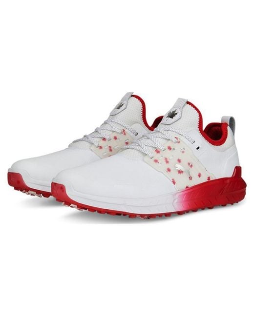 PUMA White Ignite Articulate Maple Golf Shoes for men